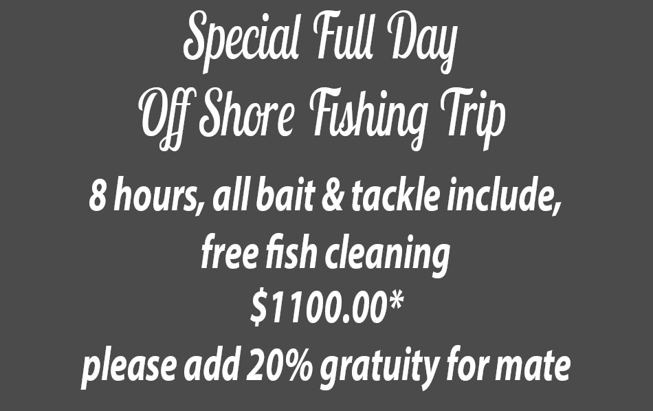 Special Full Day Off Shore Fishing Trip
